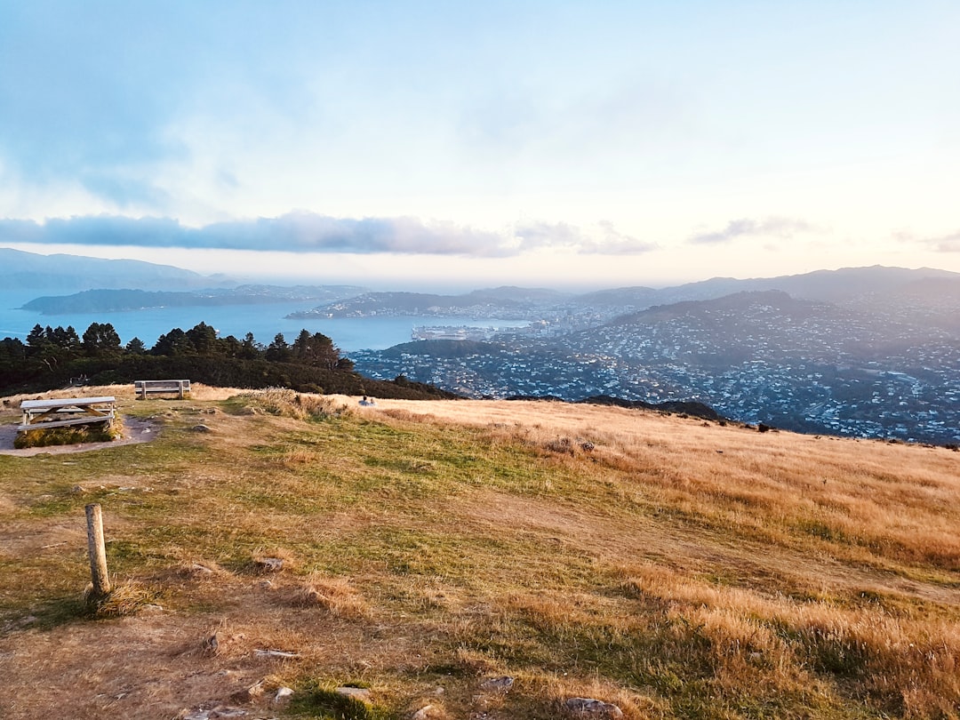 Maximize Your Reach with Data-Driven Marketing for Destinations
